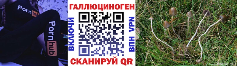 ОМГ ОМГ зеркало Выкса Псилоцибиновые грибы ЛСД закладка