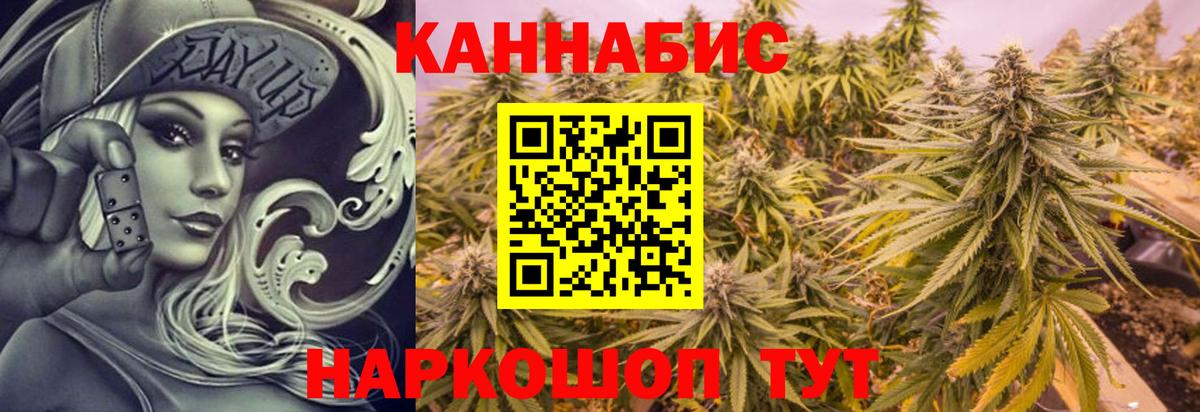 Каннабис OG Kush  МАРИХУАНА планчик  Выкса  Вход с VPN  Марихуана индика 